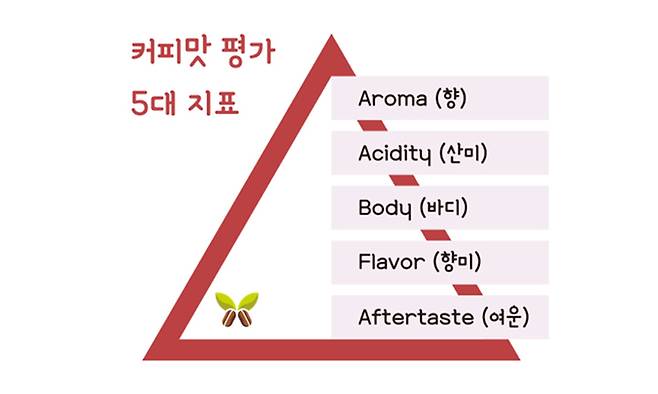 한 잔으로 완성된 커피의 향미를 통해 품질을 평가하고 묘사하는 ‘5대 지표’