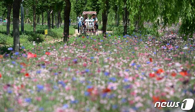 화창한 봄 날씨를 보인 15일 경남 거창군 남상면 거창창포원을 찾은 방문객들이 꽃구경을 하고 있다. (거창군 제공) 2022.5.15/뉴스1