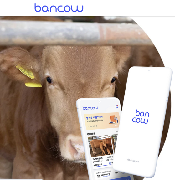 Screen capture of Bancow website [SCREEN CAPTURE]