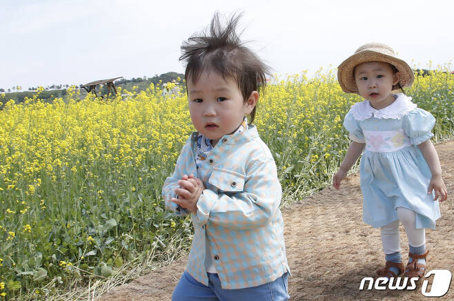 인천공항 하늘정원에 나들이를 나온 어린 아이들이 만개한 유채꽃과 함께 즐거운 시간을 보내고 있다.© News1 권현진 기자
