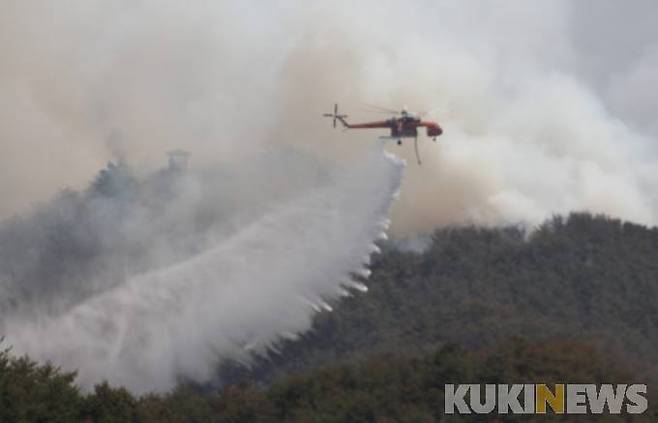 사진=쿠키뉴스 DB