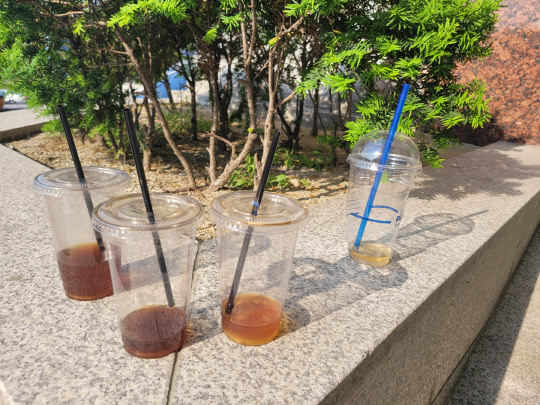 18일 대전 서구 갈마동 인근 도로에 일회용 컵 여러 개가 버려져있다. 사진=김소연 기자