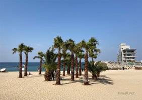 강원 강릉시내 곳곳이 도시숲과 힐링비치,일루미아정원 등으로 꾸며진다. 강릉시 제공.