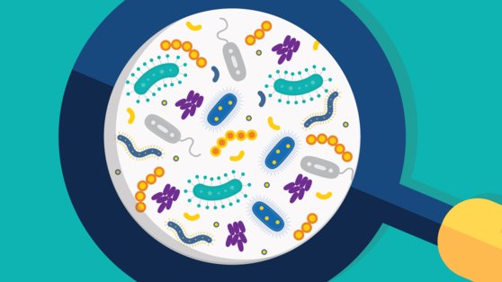 우리 몸 안에는 수많은 미생물(Microbiome)이 존재한다. 사진 Michigan Health Lab 홈페이지