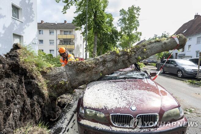 독일 립슈타트의 한 노동자가 토네이도 강타로 차량 위로 쓰러진 나무를 제거하고 있따. [dpa via AP 연합뉴스 자료사진. 재판매 및 DB 금지]