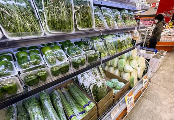 〈사진=연합뉴스〉