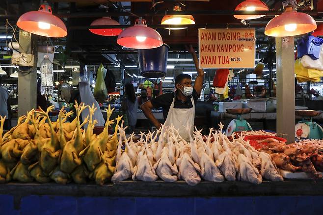 말레이시아 정부는 자국 내 가금류 공급을 원활하게 하고 가격 인상을 막기 위해 닭고기 수출 금지 조치를 내렸다. 쿠알라룸푸르에 있는 시장의 한 상인이 24일(현지시간) 손질된 닭을 판매하고 있다. [EPA]