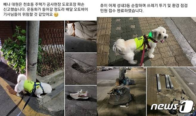 서울시 반려견 순찰대 커뮤니티(유기견없는도시 제공) © 뉴스1