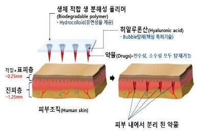 그림입니다. 원본 그림의 이름: CLP000010640011.bmp 원본 그림의 크기: 가로 386pixel, 세로 257pixel