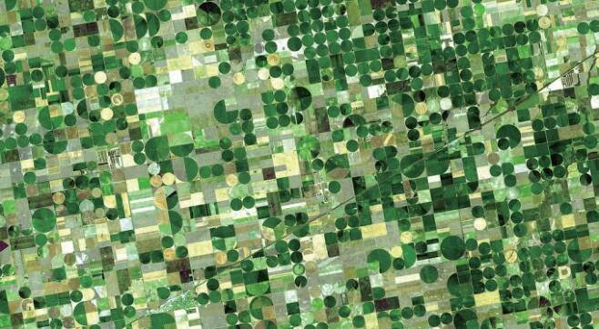 미국 캔자스주의 농경지의 작황을 위성 데이터로 분석한 모습. 넓은 농경지의 데이터를 한눈에 볼 수 있다. 미국항공우주국 제공