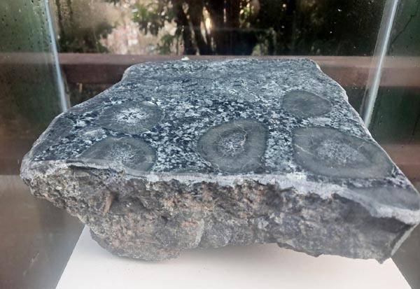 지질공원 내 유리 전시관의 구상반려암.