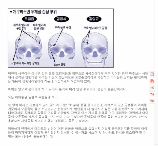 온라인 커뮤니티 캡처