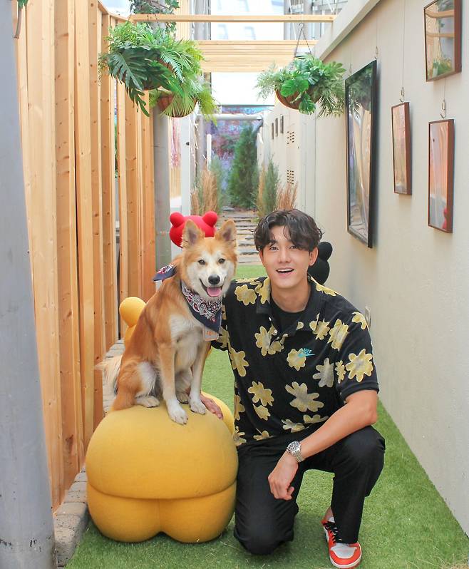 ⓒ 네버다이 ENT