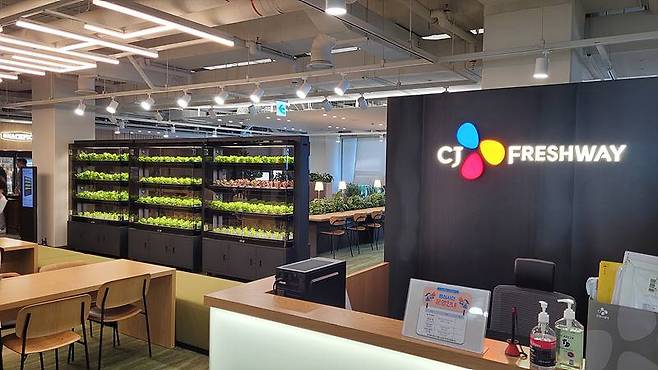 서울의 한 대기업 사무실에 설치된 퍼밋 스마트팜. 출처 = 퍼밋