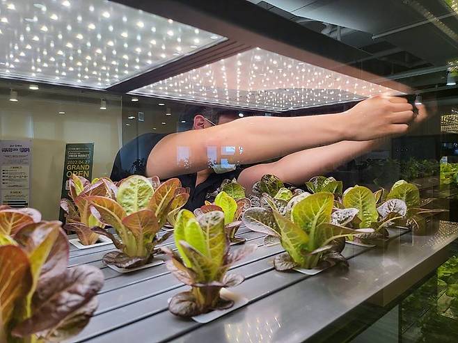 스마트팜의 LED를 점검 후 유지 보수하는 김수범 매니저.