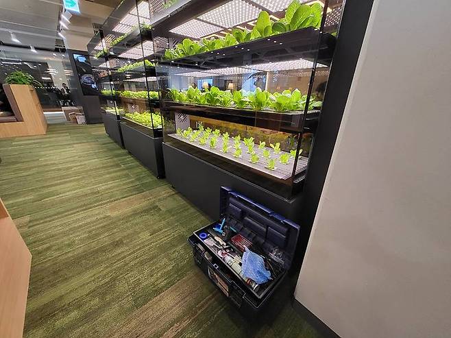 스마트팜 유지 보수 현장.