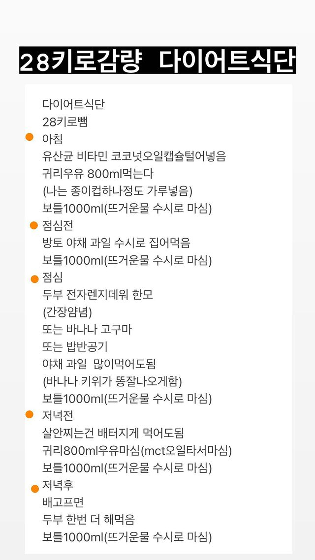 배우 진서연이 공개한 28㎏ 감량 다이어트 식단. /사진=진서연 인스타그램