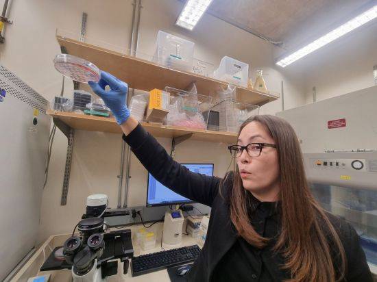 다니엘 엔글(Dannielle Engle) 소크연구소(Salk Institute) 교수가 암세포와 관련한 본인의 연구를 소개하고 있다. /샌디에이고(미국)=이춘희 기자