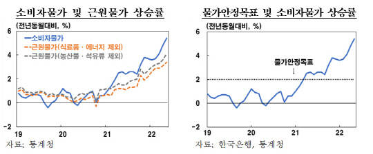 지난달 국내 소비자물가상승률은 5.4%로 2008년 이후 최대치다. 한국은행 제공