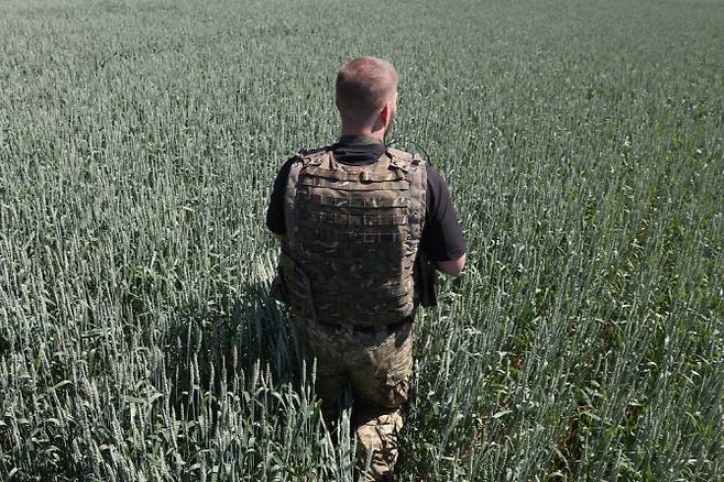우크라이나 군인이 밀밭에 서 있다. (사진=AFP)