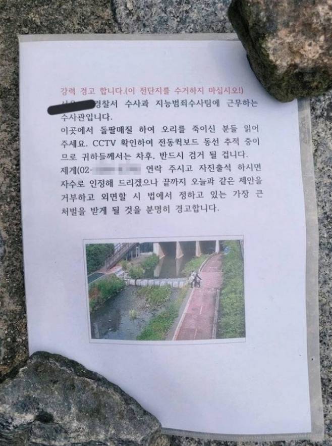 23일 경찰에 따르면 돌을 던져 서울 한 하천에 살던 청둥오리 6마리를 죽인 10대 형제 2명이 경찰에 붙잡혔다. /사진=온라인 커뮤니티 네이트판 갈무리
