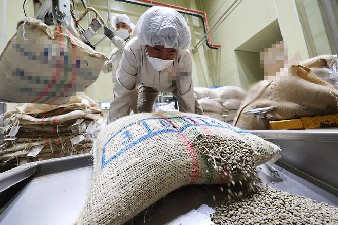 충북 음성 한 수입식품 물류창고에서 관계자들이 커피콩을 점검하고 있다. (사진=연합뉴스)
