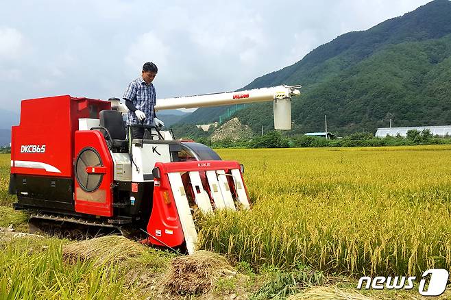 쌀 수확하는 농업인.(사진은 기사와 관련없음)© News1 DB