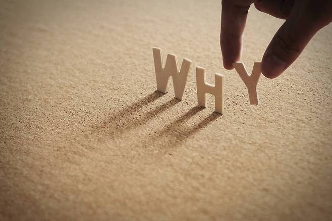 ‘왜’를 찾는데 집중해야 한다, 출처: 셔터스톡