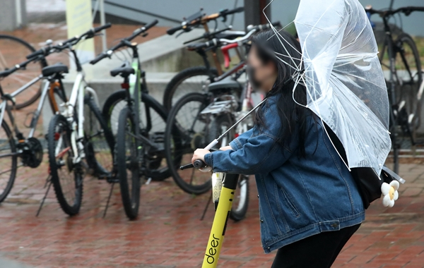 24일은 시간당 최대 50㎜의 많고 강한 비가 내릴 수 있어 대비가 필요하다. 다음날까지도 비가 이어지는 지역이 있겠다. 사진은 지난 4월26일 경북 경산시 대학로 지하철역 인근에서 우산이 뒤집어진 시민. /사진=뉴스1