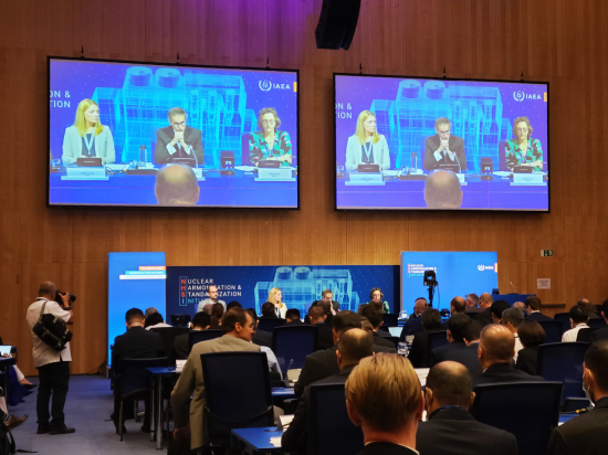 지난 23일부터 24일까지 오스트리아 비엔나에서 열린 '원자력 조화 및 표준화 계획(NHSI)' 착수회의. [사진제공 = 원자력안전위원회]