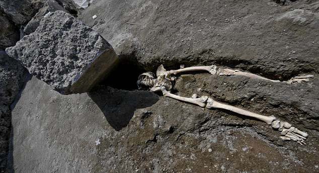 과거 폼페이 유적지에서 발굴된 얼굴 부근이 직사각형의 바위에 짓눌린 유골