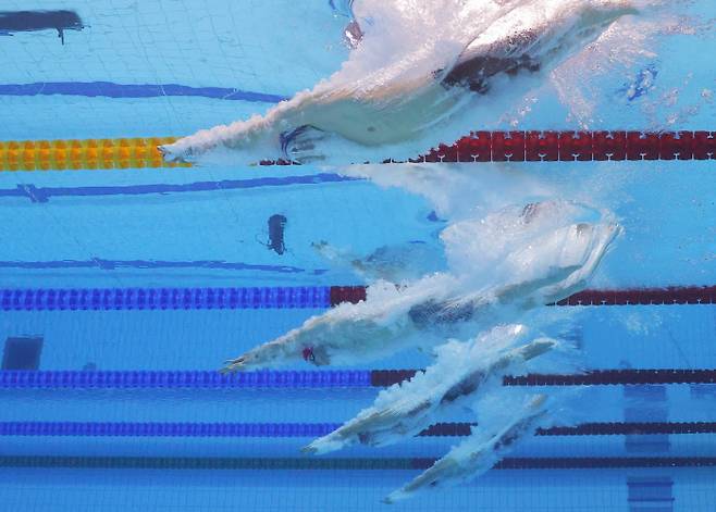최근 헝가리 부다페스트에서 열린 세계수영선수권에 출전한 선수들이 물속으로 뛰어들고 있다. 로이터연합뉴스