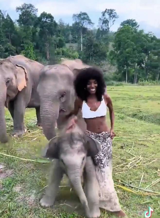 생후 3주 된 아기 코끼리가 모델 메간 밀런과 장난치고 있다./사진=트위터
