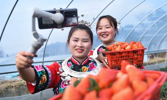 중국은 올해 1000만 대졸자가 쏟아지게 되자 이들의 일자리 대책으로 농촌 취업을 권장하고 있다. [중국 글로벌타임즈 캡처]