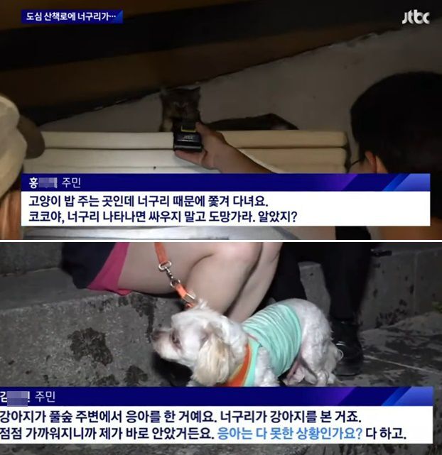 지난 27일 JTBC 뉴스룸 '밀착카메라' 뉴스 영상. /JTBC