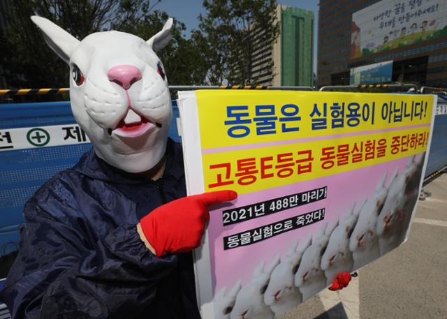 올해 5월 서울 광화문에서 한국동물보호연합 회원들이 488만 동물들의 비명과 죽음, 동물실험 천국을 규탄하는 기자회견을 열고 퍼포먼스를 하고 있다. 이날 기자회견에서 참석자들은 "동물은 실험용이 아니다"라며 "비윤리적인 고통 E 등급 동물실험 중단"을 촉구했다. 뉴스1