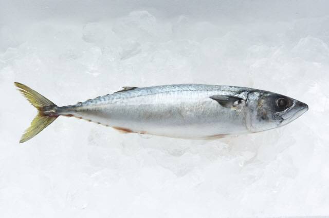 수산물을 많이 먹을수록 노쇠 점수(frailty score)가 낮았다./클립아트코리아 제공