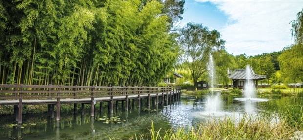 한국관광공사의 올해 안심 관광지에 선정된 담양 죽녹원. /전라남도 제공