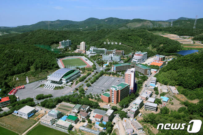 신성대학교 전경© 뉴스1