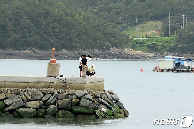 29일 오후 전남 완도군 신지면 송곡선착장에서 방문객들이 방파제 앞 바다에 소주를 뿌리고 있다. 이곳은 최근 실종된 조유나양(10) 일가족의 아우디 차량이 발견, 경찰에 의해 인양된 곳이다. 2022.6.29/뉴스1 © News1 정다움 기자