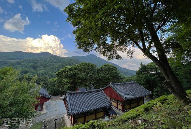 비로사 건너편으로도 소백산의 우람한 산줄기가 펼쳐진다.