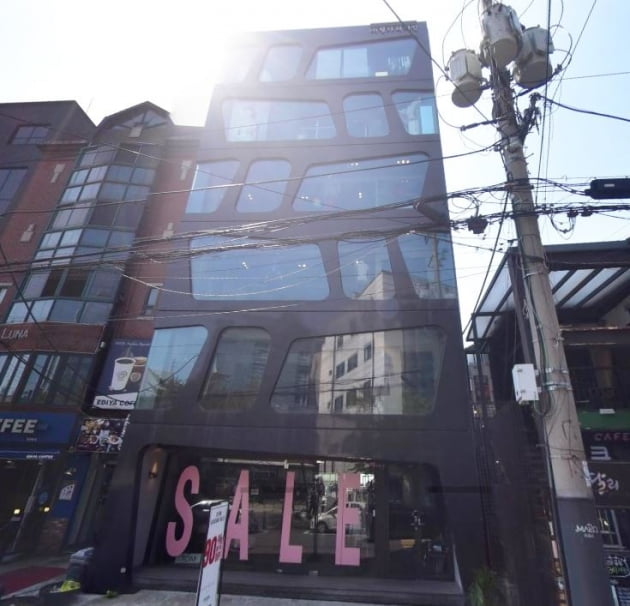 가수 강민경이 매입한 것으로 알려진 서울 마포구 합정동에 있는 한 건물. 사진=네이버 부동산