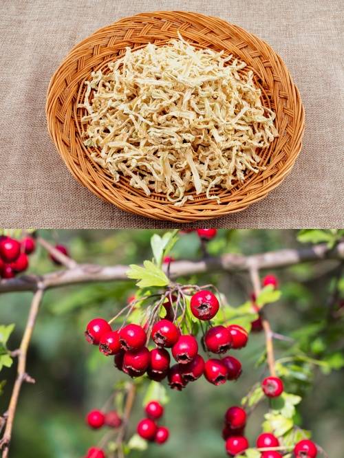 과식 후 소화불량에는 무차와 산사차가 도움이 된다(사진=클립아트코리아).