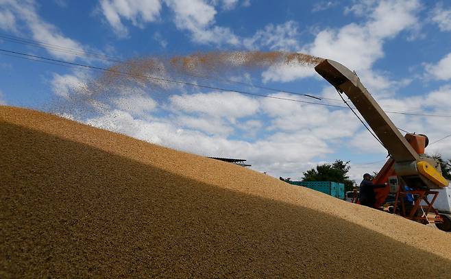 지난달 23일(현지시각) 우크라이나 오데사 지역에서 수확한 밀을 운반하는 모습/EPA 연합뉴스