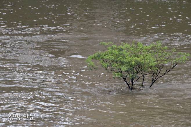 장마선선의 영향으로 서울 등 중부 곳곳에 집중호우가 이어지고 있는 30일 서울 강남구 봉은교에서 바라본 탄천이 범람해 있다./문재원 기자