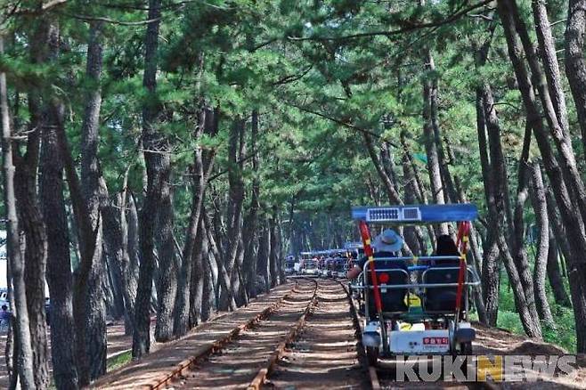 강원 삼척시 해양레일바이크(쿠키뉴스DB)