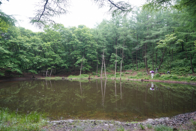 탄광 갱도 침하로 생긴 ‘도롱이연못’ 의 모습.