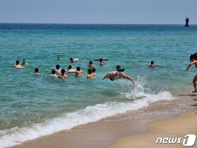 강원 강릉 경포해변 바다로 뛰어드는 시민들.(뉴스1 DB)