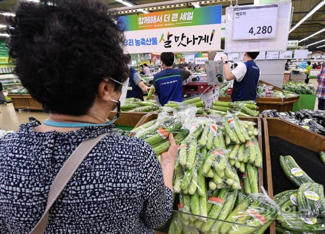 3일 서울 서초구 농협유통 하나로마트 양재점에서 한 시민이 오이를 구매하고 있다.