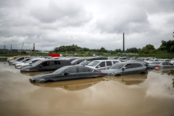 중고차 단지 잠기고…  - 경기 남부 지역에 시간당 최대 50㎜가 넘는 폭우가 쏟아진 30일 오전 수원 중고차 단지가 물에 잠겨 있다.뉴시스